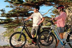 Corratec Life Schmidt Pedelec