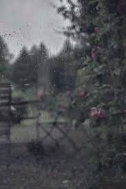 Tristan Nature Gif Aesthetic Gif Beautiful Nature Scenes