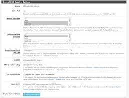 Introducing technology into partner services: Regularly Getting Browser Error Server S Ip Address Could Not Be Found Dns Probe Finished Nxdomain Errors Using Pfsense As Dns Resolver R Pfsense