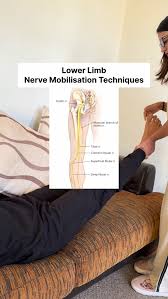 Image result for Fulcrum Test