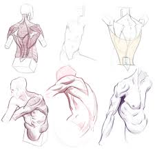 Figure drawing design and invention_traducido. Studying Hampton S Figure Drawing Design And Invention Drawing