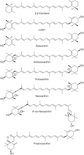 It's amazing how beautifully this approach works for this theme. Carotenoids Springerlink