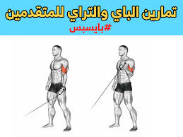 تمارين الباي والتراي بالصور in 2021 super set arm workout ballerina art