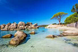 Check spelling or type a new query. Top 15 Des Plages De Reve En Corse