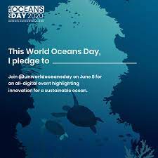 It's true that when any of us think of health risks, most people don't tie up that thought with the ocean but it's time we realised that our oceans are our future. Participate With Un Oceans Day United Nations