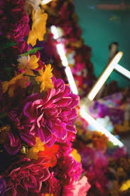 Use them in commercial designs under lifetime, perpetual & worldwide rights. Fragrant Flowers In Season Now Send Fresh Flowers Online Flower Delivery In Pakistan The Flower Studio
