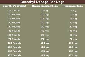 A Dog Benadryl Dosage Chart To Help With Benadryl Dosage For Dogs In Give A Dog Benadryl For Itching 3299 D Dog Benadryl Benadryl For Dogs Dosage Dog Remedies