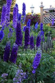 Pin On Naturaleza Florida