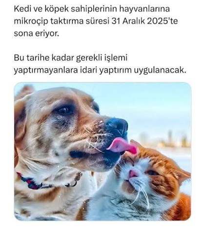 Evdeki Pati Dostuna Çip Takmayı Unutma: Son Günler Yaklaşıyor!