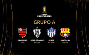 101 great goals is a global, football media news publisher devoted to producing content for a digital generation over web, social and mobile. Asi Quedo El Cuadro De La Fase De Grupos De La Copa Libertadores 2020 Futbol Deportes El Universo
