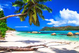 Au seychelles, on distingue les îles intérieures et les îles extérieures. Top 5 Des Plages De Mahe A P D 630 Budgetair Fr