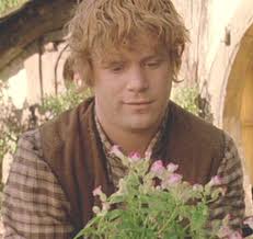 Relatively Unknown LoTR Facts