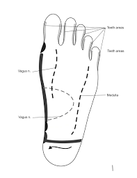 Best Medicine For Neuropathy In Feet Vagus Nerve