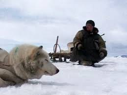на колыме где тундра и тайга кругом скачать бесплатно V Gostyah U Eskimosov I Chukchej Rossiya Lyubov Moya Telekanal Kultura Youtube
