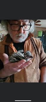 Samuel "Duffy" Alicea