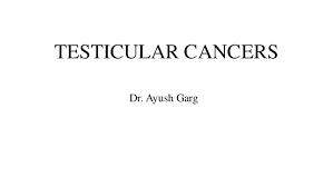 A dog can become lame for many reasons, ranging from a simple sprain or a cut pad all the way to cancer. Testicular Tumors