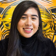 Chicago Peace Fellows