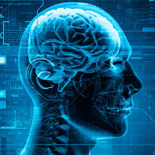 Behavioral neuroscience, also known as biological psychology, biopsychology, or psychobiology, is the application of the principles of biology to the study of physiological, genetic, and developmental mechanisms of behavior in humans and other animals. Biopsychology Posts Facebook