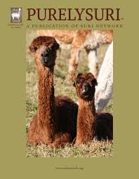 It is being run by bye buy birdie estate sale company. 2017 Purely Suri Winter Edition By Suri Network Issuu