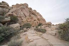 Hidden Valley Trail In Joshua Tree National Park California Through My Lens California National Parks Joshua Tree National Park National Parks