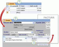 InformaÈ›ii Despre Structura Unei Baze De Date Access Access