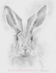 Pin On Patty Storms Watercolor And Pencil Drawings