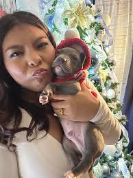 Any advice for parvo symptoms in dogs?