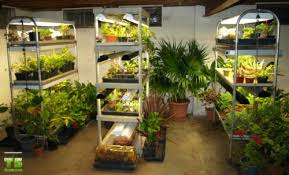 How To Set Up An Indoors Garden T5 Grow Light Fixtures