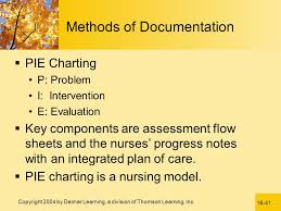 Documentation And Reporting Ppt Video Online Download