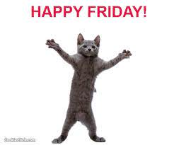 Happy Friday Gif X Funny Cat Videos Funny Cats Cat Gif