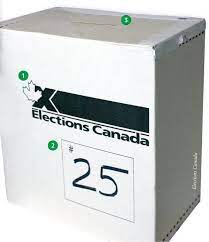 Two young us voters have spoken to the bbc's annita mcveigh about their first experience at the ballot box in the 2020 election. Voting Our Country Our Parliament