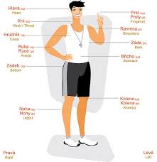 Internal parts of the body. Tar Heel Reader Body Part Names