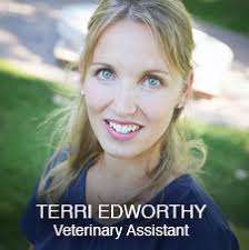 Large and Small Animal Services