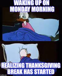 Ducks can be one of the most difficult types of waterfowl to identify. Donald Duck Sleepless Memes Imgflip