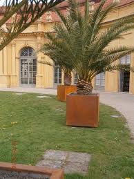 Pflanzgefasse Und Troge Aus Corten Sorgen Fur Eine Ausgeglichene Bodentemperatur So Uberleben Palmen Und Exotische Pflanzen Exotische Pflanzen Garten Pflanzen