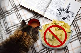 However, it is not recommended. Can Cats Eat Chips Cat Tips Can Cats Eat Chips