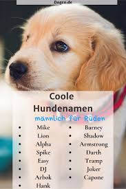 Die meisten hundebesitzer denken wahrscheinlich, dass es ein notwendiges übel ist, den kot ihres hundes aufzuheben. Dogco Dogcohunde S Pinterest Account Images And Ideas