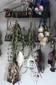 Dried flowers can be displayed around your home out of direct sunlight for a beautiful presentation as well. The Green Fairy Dried Flowers Drying Roses Dry Plants