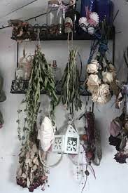 On the bright side, this drying technique does preserve the flowers' stems. The Green Fairy Dried Flowers Victorian Study Drying Roses
