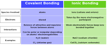 Bond means to bind or connect. Ionic Bonding Biology Definition Role Expii