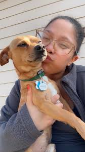 This dog followed us home around college grove area