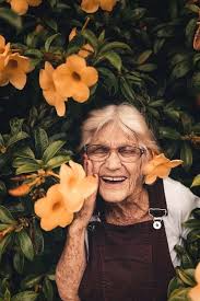 9 Amazing Indoor Gardening Ideas For Seniors Mini Garden Guide