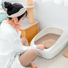 Here's How Often You Should Change the Cat Litter—Litter Box Tips · Kinship