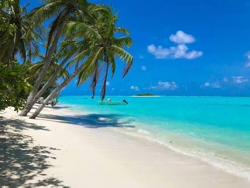 750+ Tropical Beach Pictures | Download Free Images on Unsplash