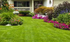 We did not find results for: Cutting Edge Lawn Care