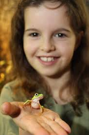 Guest Blogger: Andrew Gray —Admiring views across the pond