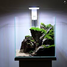 Ancient Stone Glued Scape For Nano Aquarium In 2020 Aquarium Landscape Aquascape Aquarium Nano Aquarium