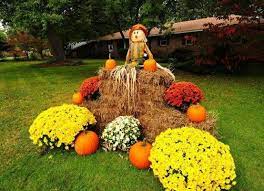 Maybe you would like to learn more about one of these? Amazing Fall Front Yard Decorations That Will Fascinate You Fall Yard Decor Fall Landscaping Fall Outdoor Decor