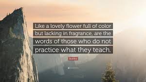 Gautama buddha > quotes > quotable quote. Buddha Quote Like A Lovely Flower Full Of Color But Lacking In Fragrance Are The Words