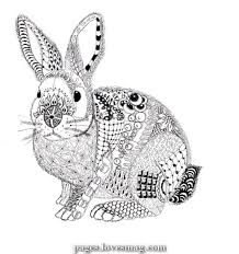 We do not intend to infringe any legitimate intellectual right, artistic rights or copyright. Lovely A Rabbit By Ben Kwok And No Aunt Janny Both Signed This Time Bunny Coloring Pages Zentangle Animals Rabbit Artwork
